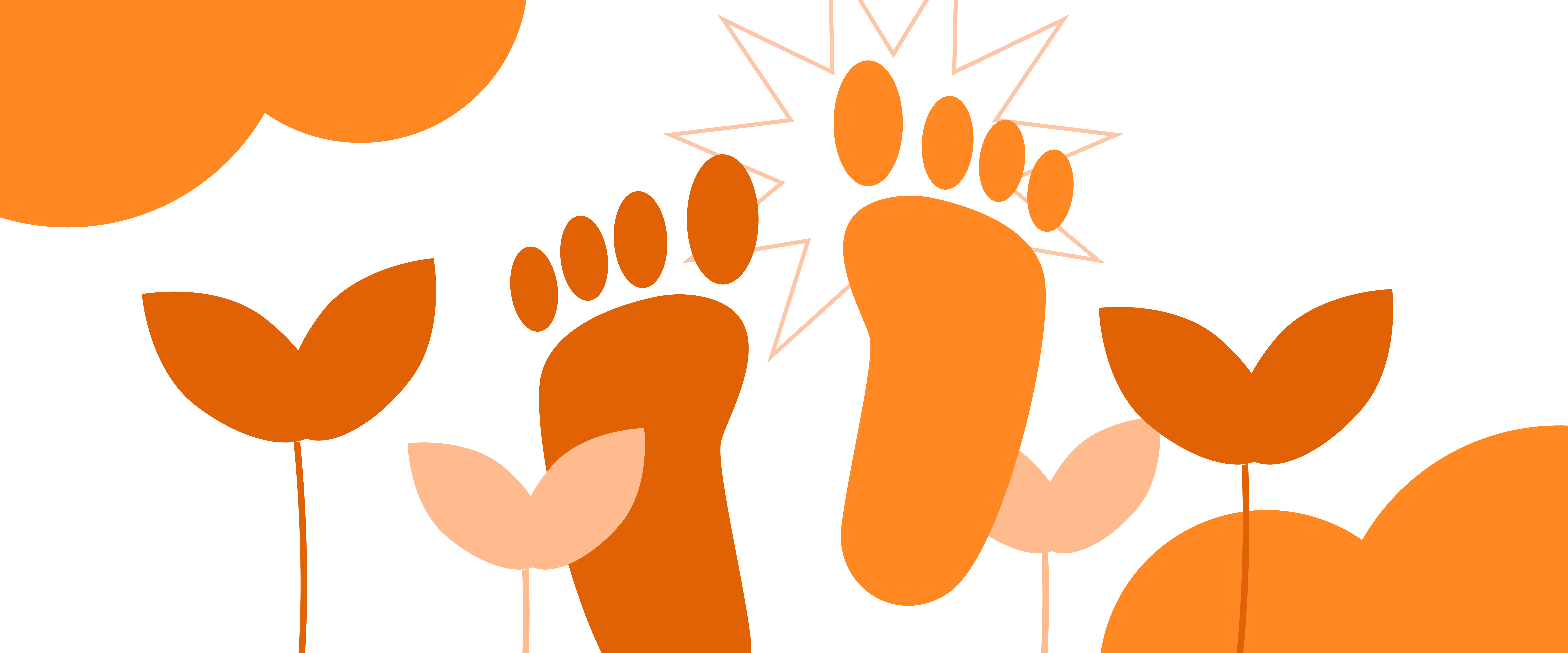 carbon footprint